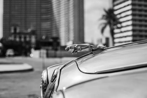 Casino Prize Land Bingo Android/iOS rakendus